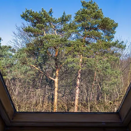 Turystyczna Spacious 300 M To The By Renters Apartman Międzyzdroje